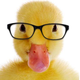 KEPPEL ARNAUD's avatar