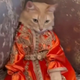 CHAHBAOUI MOHAMMED's avatar
